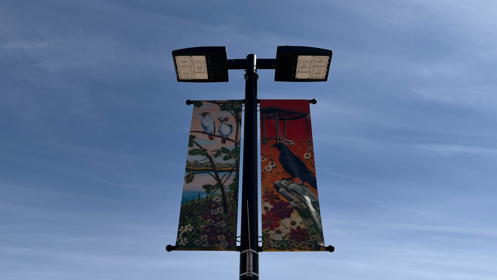 How Street Pole Banners Can Transform an Ordinary Streetscape