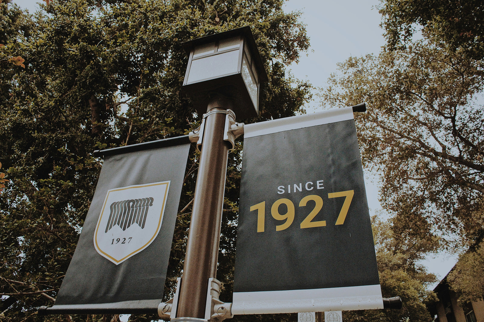 Campus Banner Ideas: How Universities and Colleges Build School Pride