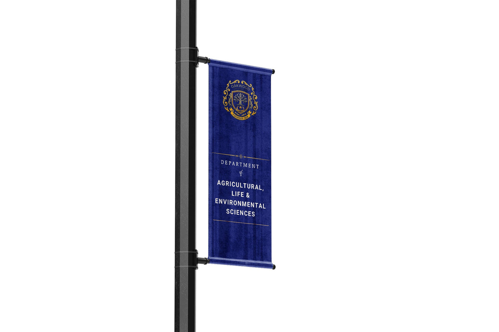 University department banner mounted on a campus street pole