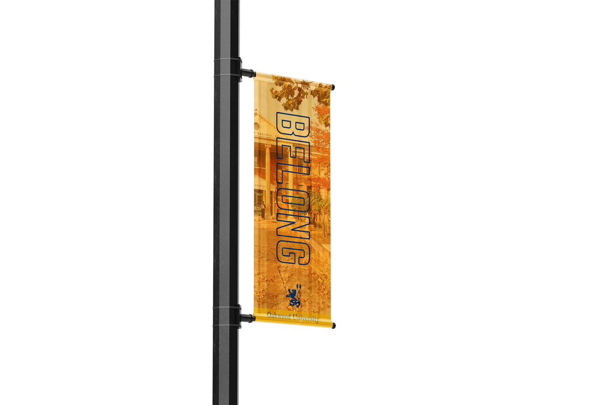 Branding, Values and Inspiration | College and School Campus Street Pole Banners