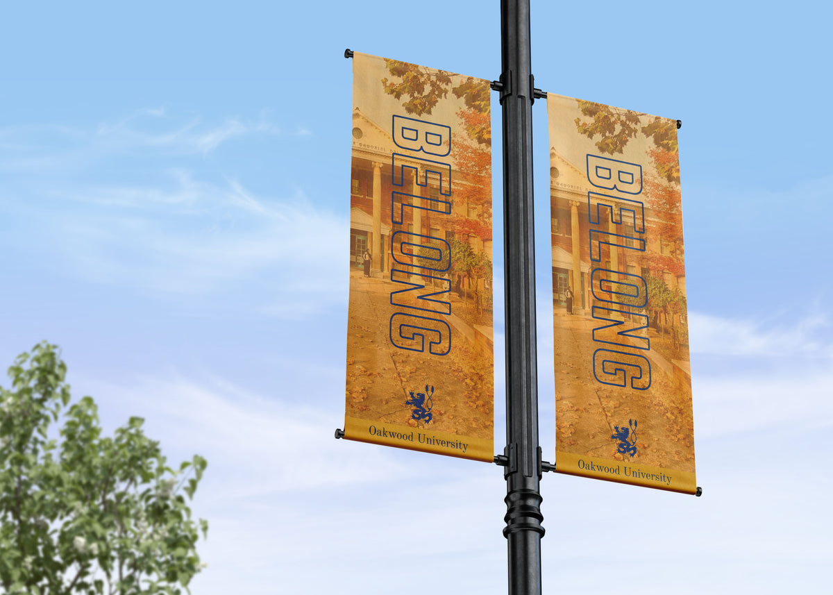 Branding, Values and Inspiration | College and School Campus Street Pole Banners