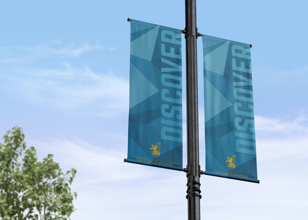 Branding, Values and Inspiration | College and School Campus Street Pole Banners