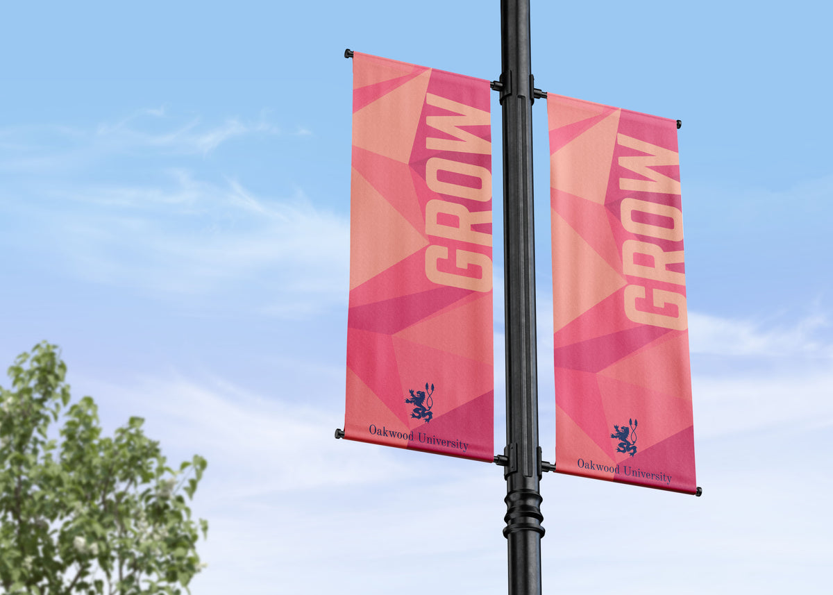 Branding, Values and Inspiration | College and School Campus Street Pole Banners