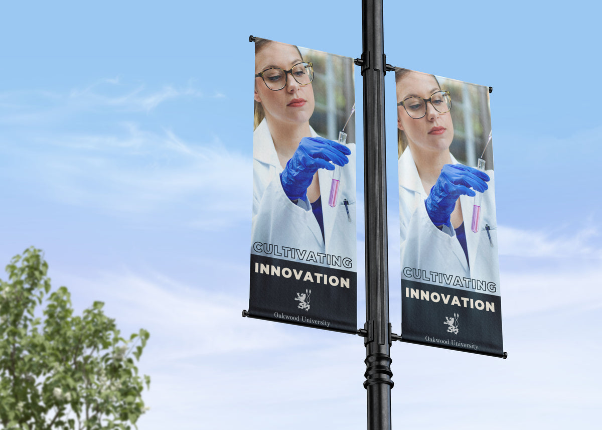 Branding, Values and Inspiration | College and School Campus Street Pole Banners