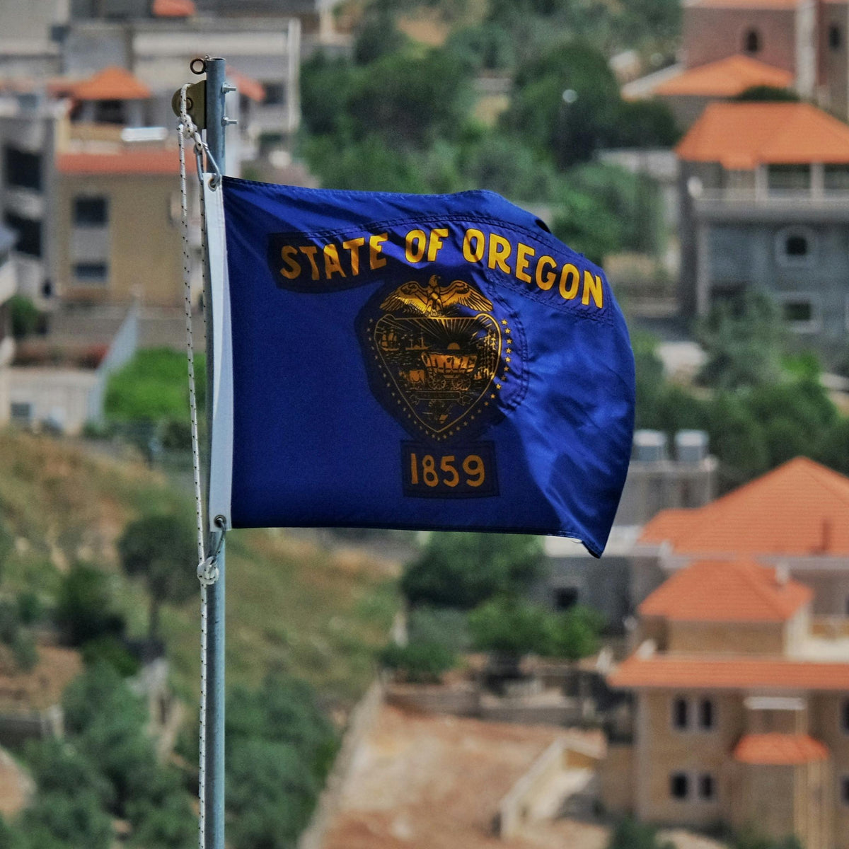 Double sided flag of Oregon