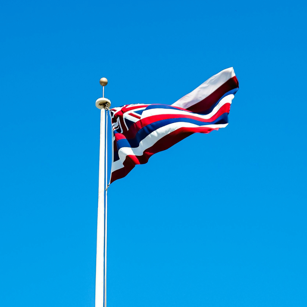 State of Hawaii Flag
