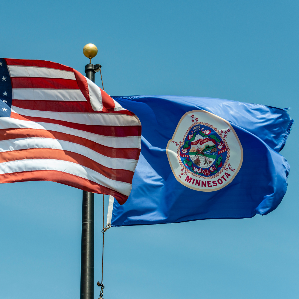 State of Minnesota Flag