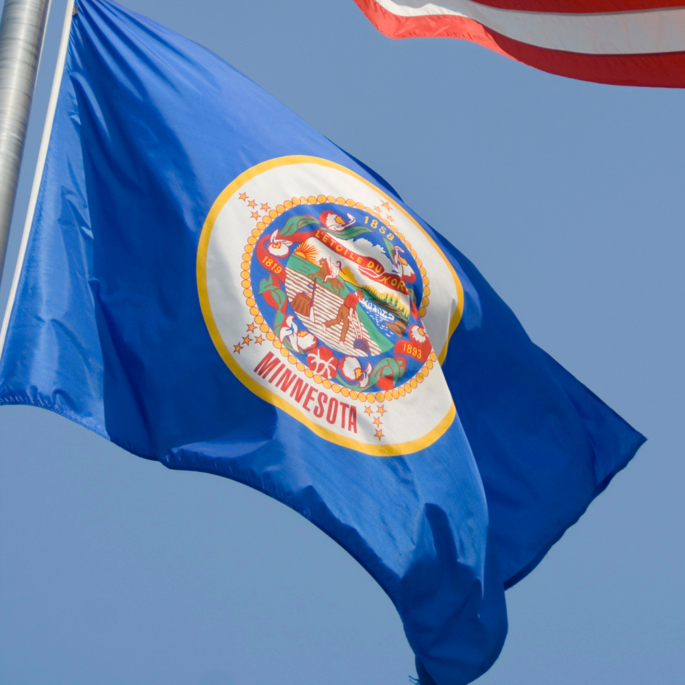 State of Minnesota Flag