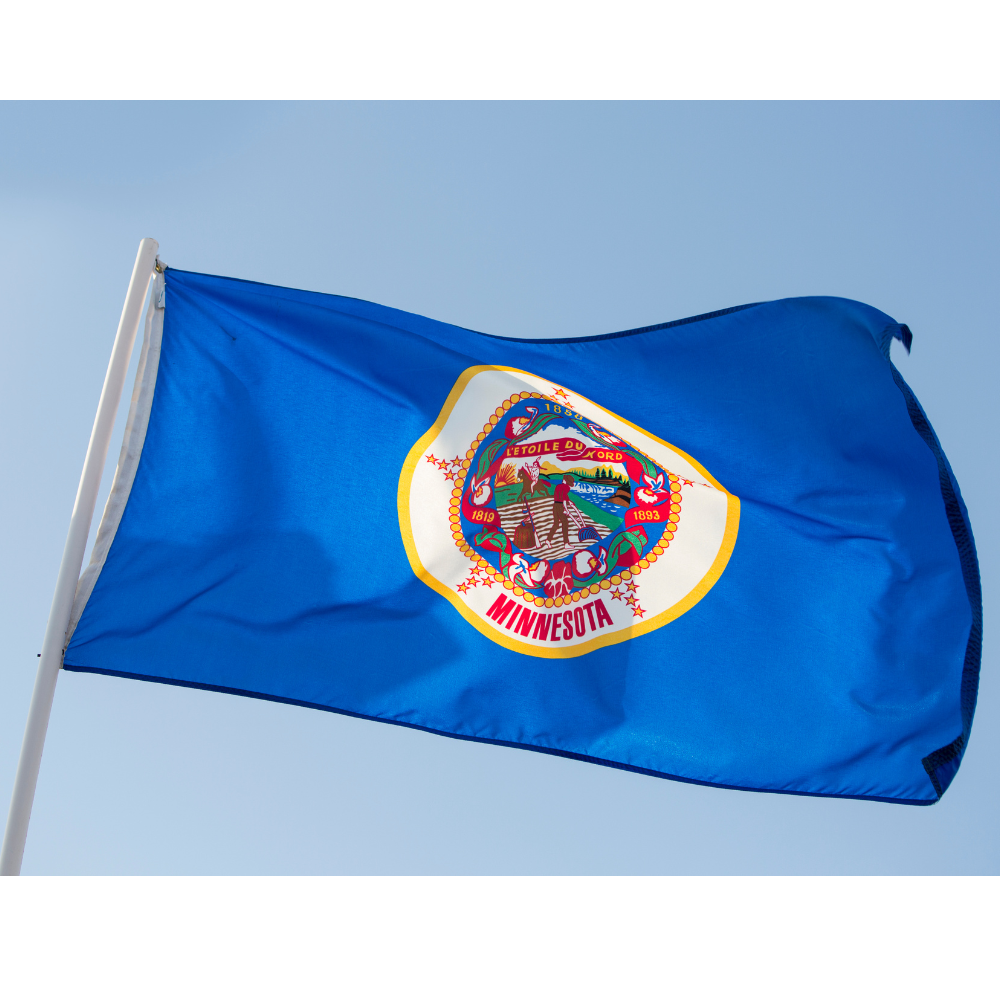 State of Minnesota Flag
