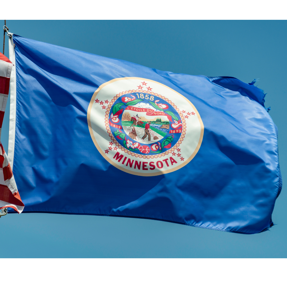 State of Minnesota Flag