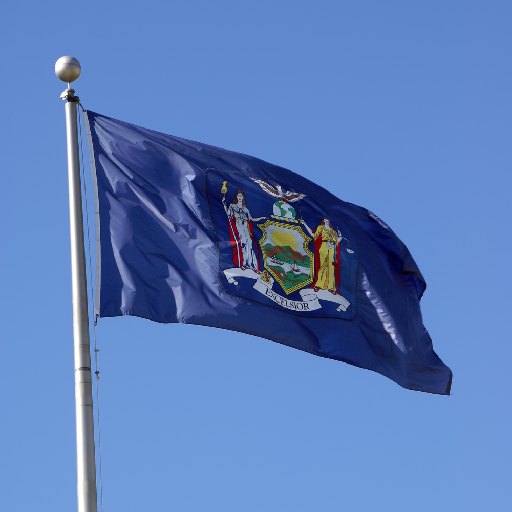 State of New York Flag