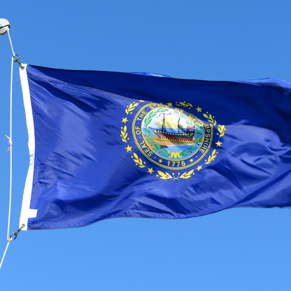 State of New Hampshire Flag