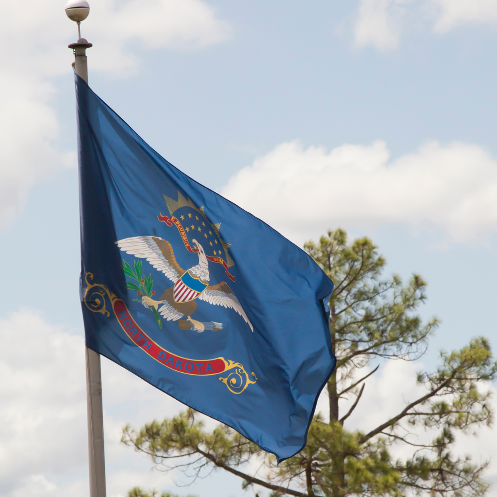 State of North Dakota Flag