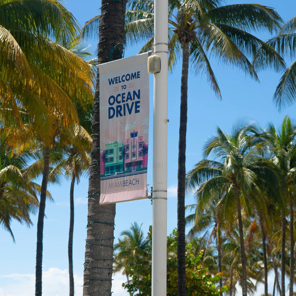Palm trees lining a street with a 'Welcome to Ocean Drive' sign in the foreground.
