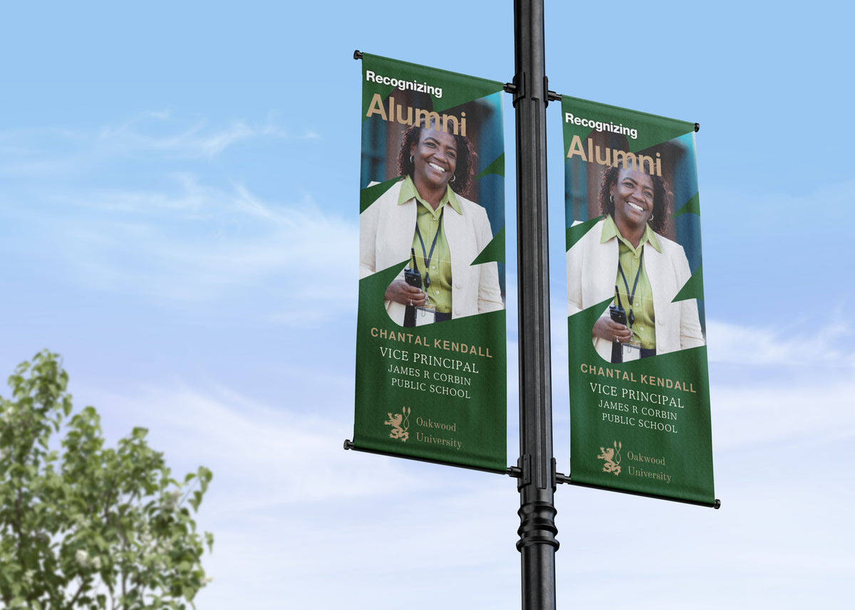 Two green banners with a woman's portrait and text on a pole against a blue sky.
