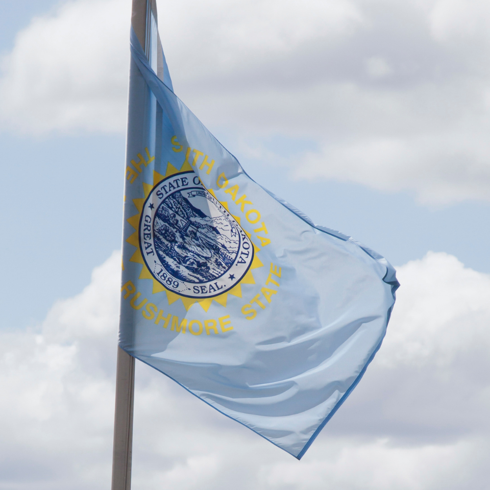 State of South Dakota Flag