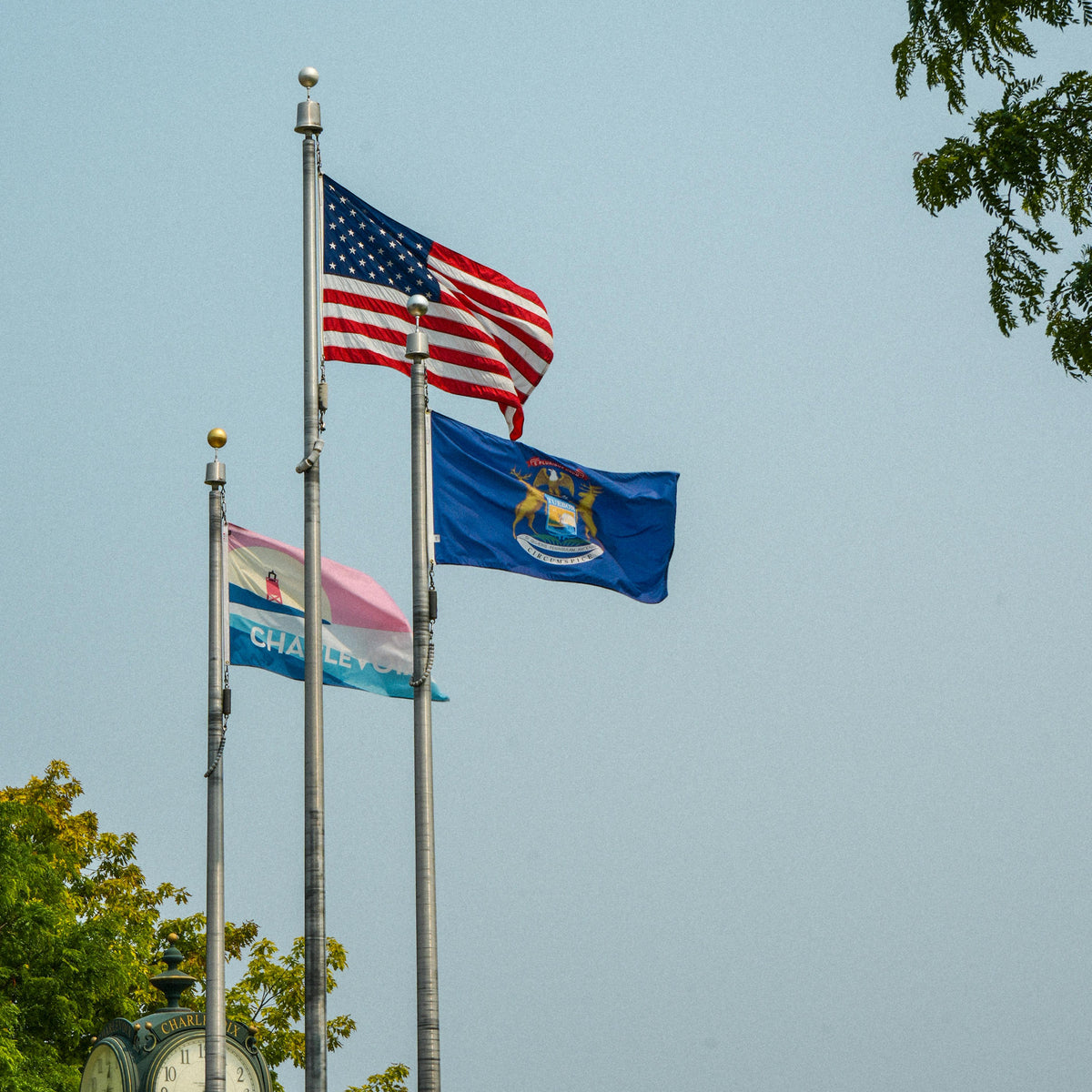 State of Michigan flag