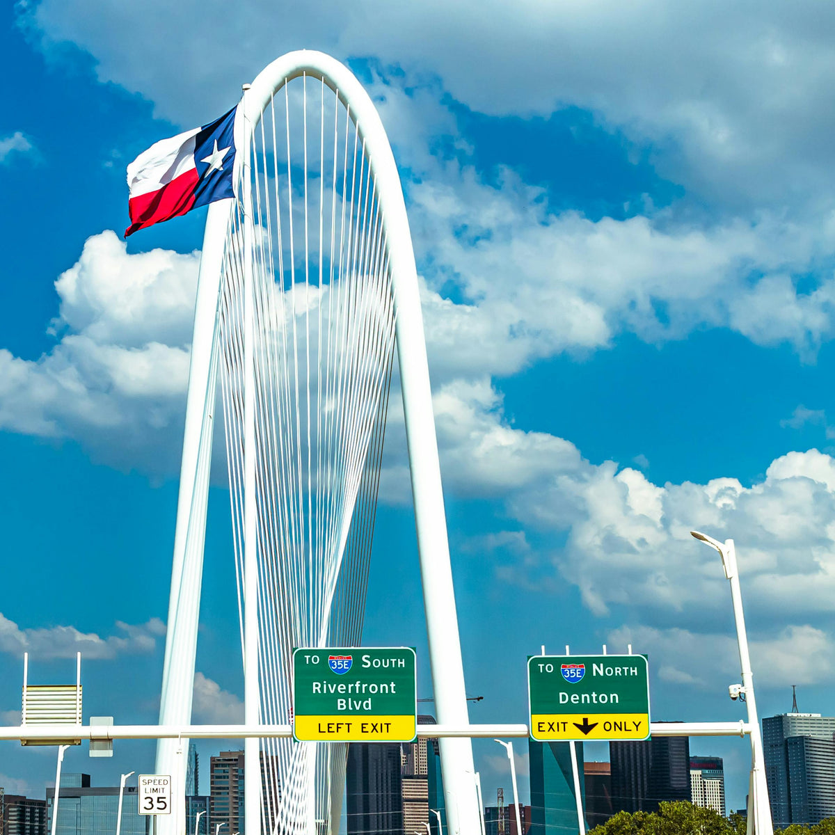 Texas state flag, the lone star state made by Green valley flags
