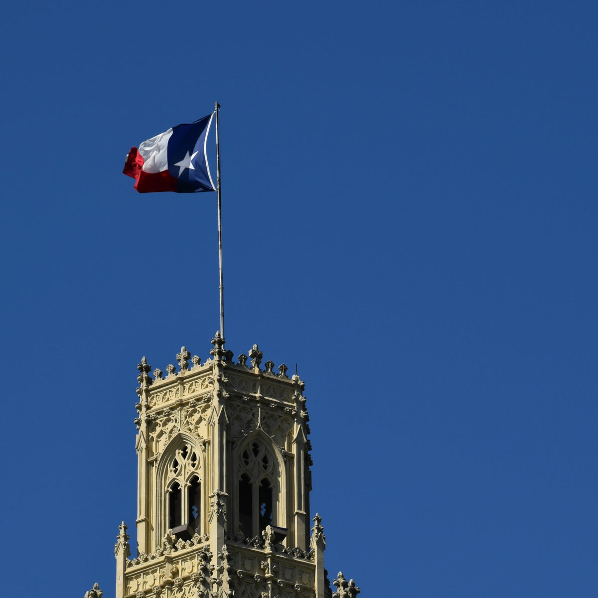 Texas state flag, the lone star state made by Green valley flags
