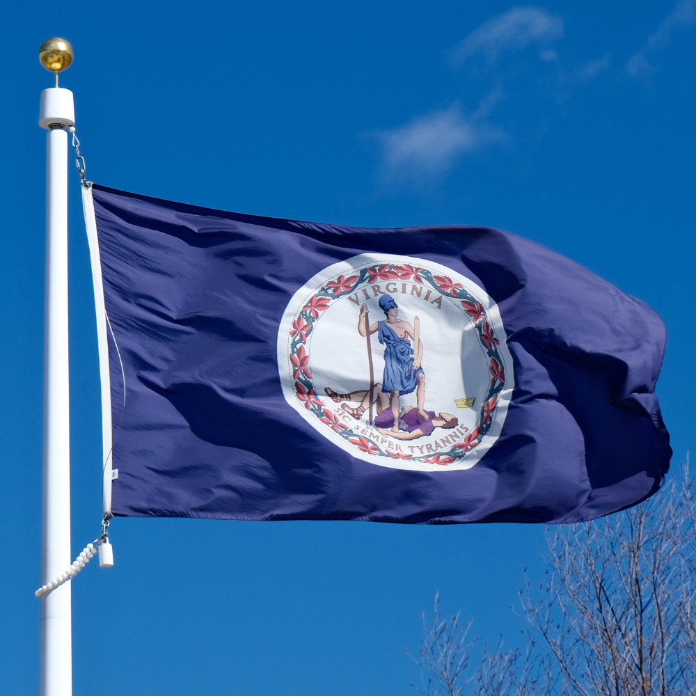 State of Virginia Flag