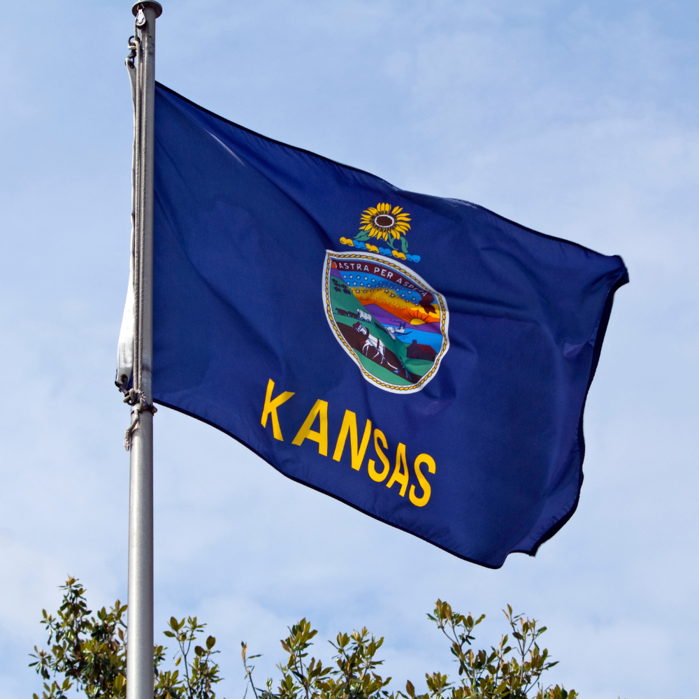 State of Kansas Flag