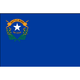 State of Nevada Flag